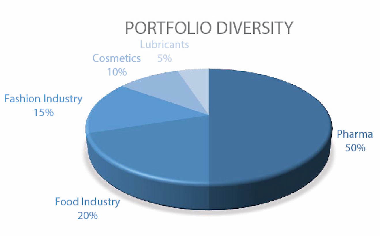 Portfolio Diversity